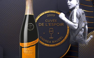 Cuvée de l’espoir 2009 – Crémant Louis Picamelot